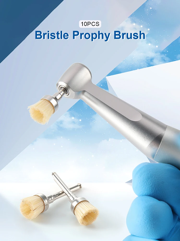 10PCS AZDENT Dental Polieren Pinsel Aluminium Oxid Siliziumkarbid Polieren Prophy Pinsel Werkzeug für Contra Winkel Handstück – Detail 25