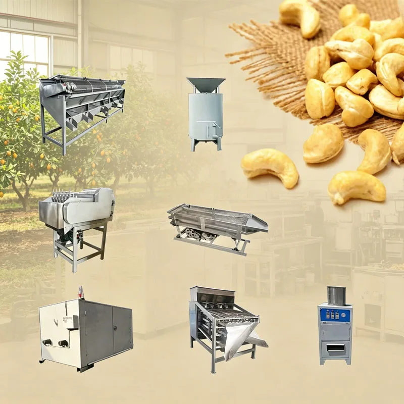 Cashew Nut Production Line with Steam Cooking Cracking Shelling and Peeling Machine Customized