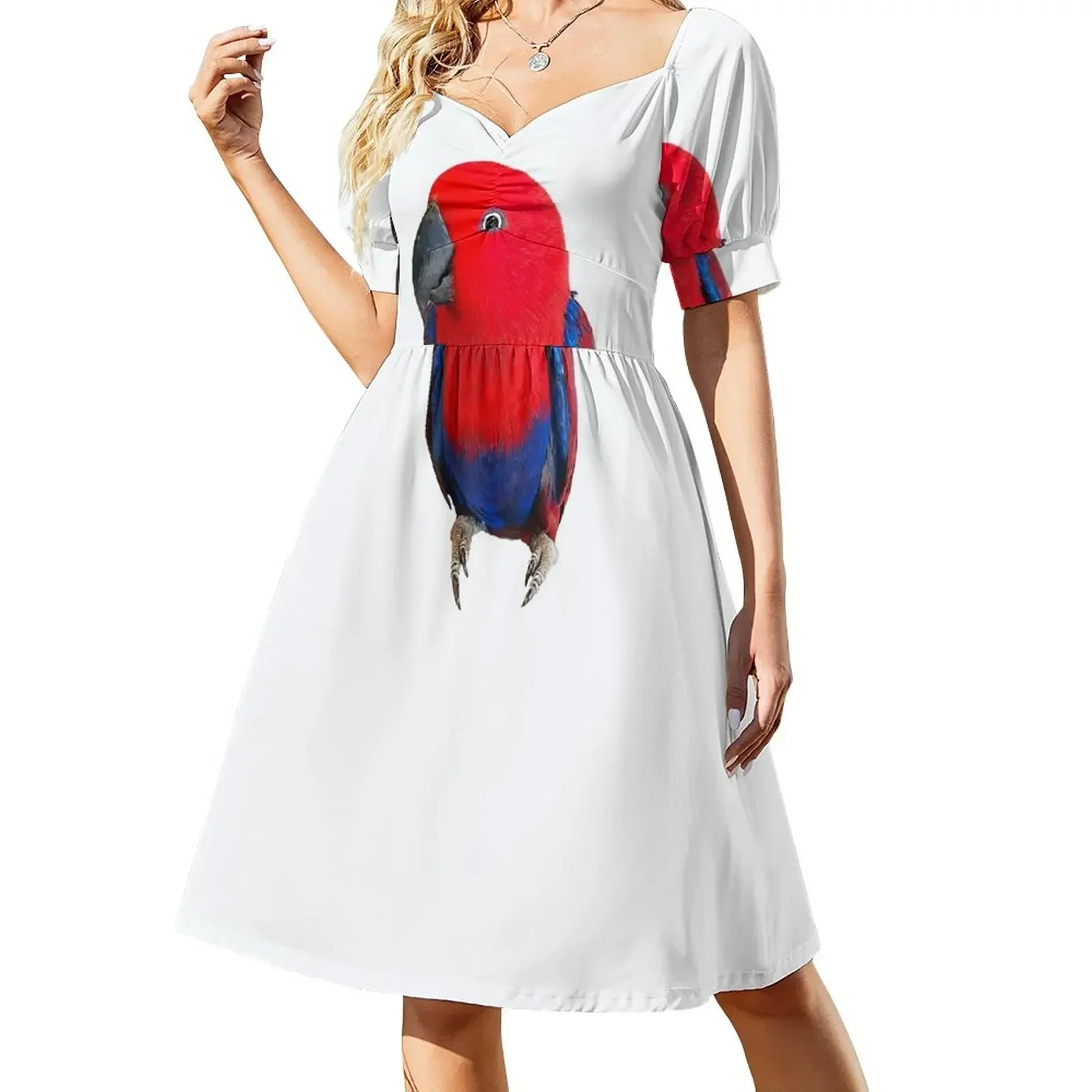 Eclectus Parrot Female - Absolutely Stunning Bird! Sleeveless Dress Elegant gown Womens dresses Long dress woman Dress