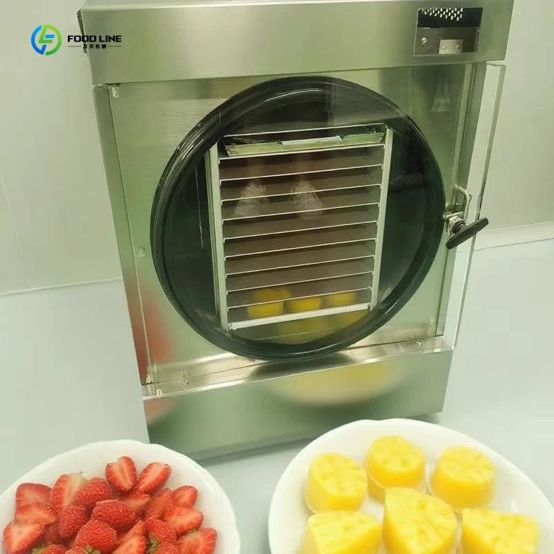 Freeze Dryer Home Vacuum Freeze Drying Machine For Yogurt Meat Preservation FL Customized