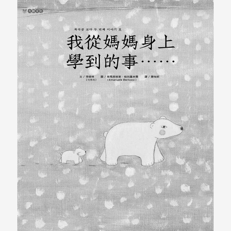 The Things I Learned From My Mother Li Lulin Daying Culture 9789579125895 Book