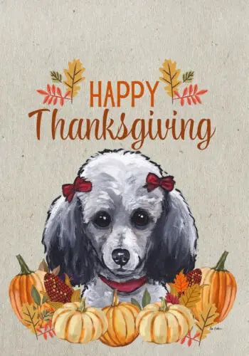 Poodle Grey Hippie Hound Studios Happy Thanksgiving Flag