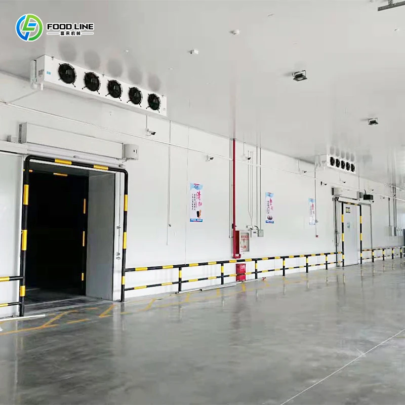 Factory Sale Container Cold Storage Room Walk in Cooler Freezer Ice Storage for Supermarket Factory FL Customized