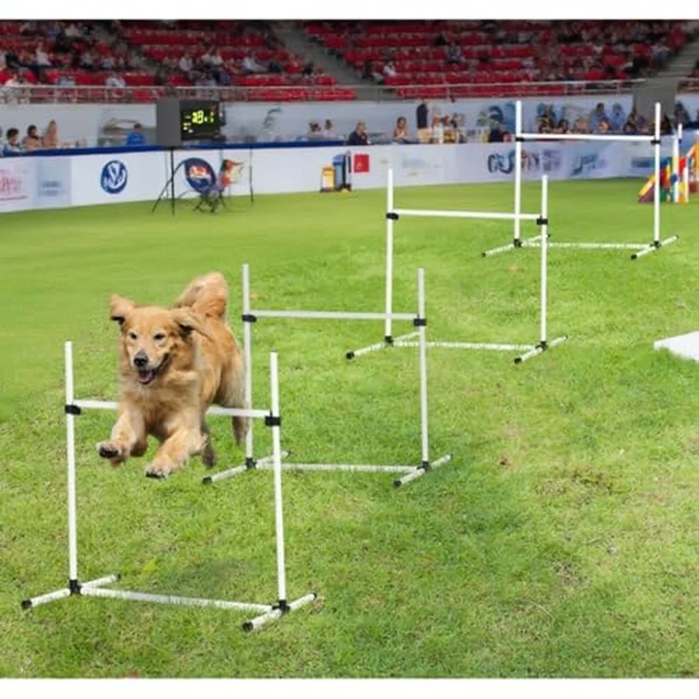 Dog Agility Training Jumps Set 4 Adjustable Jumps with Carrying Bag White PVC