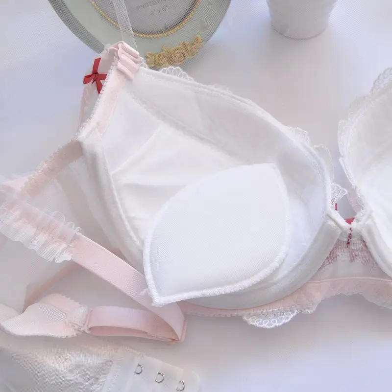 Embroider Thin Cup Girl Cute Sexy Lingerie  Bra Set Plus Size Women