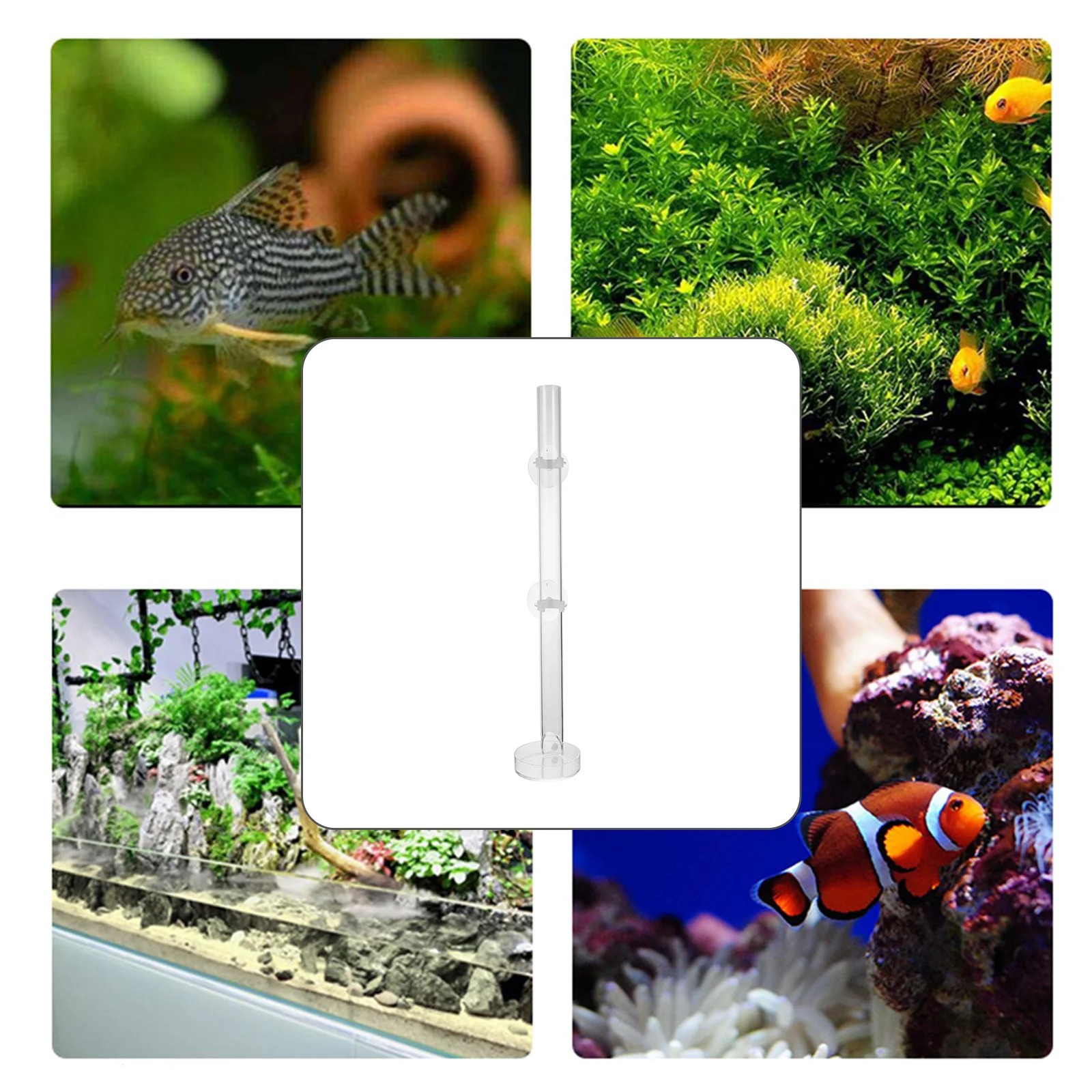 

1Set Shrimp Feeding Tube Acrylic Transparent Aquarium Feeding Tool Durable Fish Tank Feeder Suction Cup Food Supply