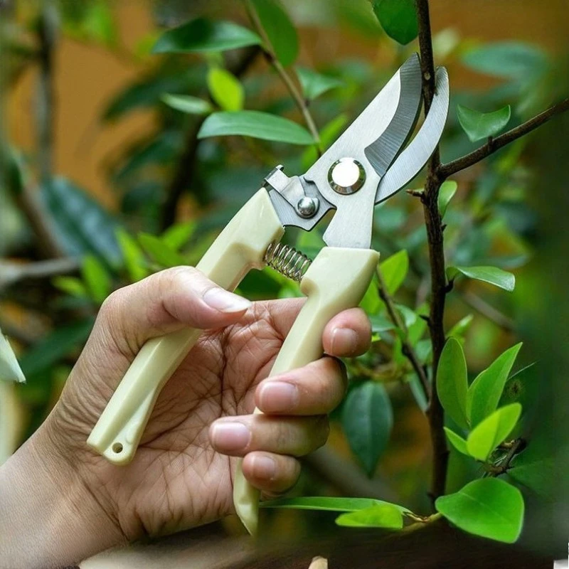 

Секаторы из нержавеющей стали, ветки деревьев, сбор фруктов для обрезки цветов и деревьев, фруктовые деревья, уход за садовыми инструментами