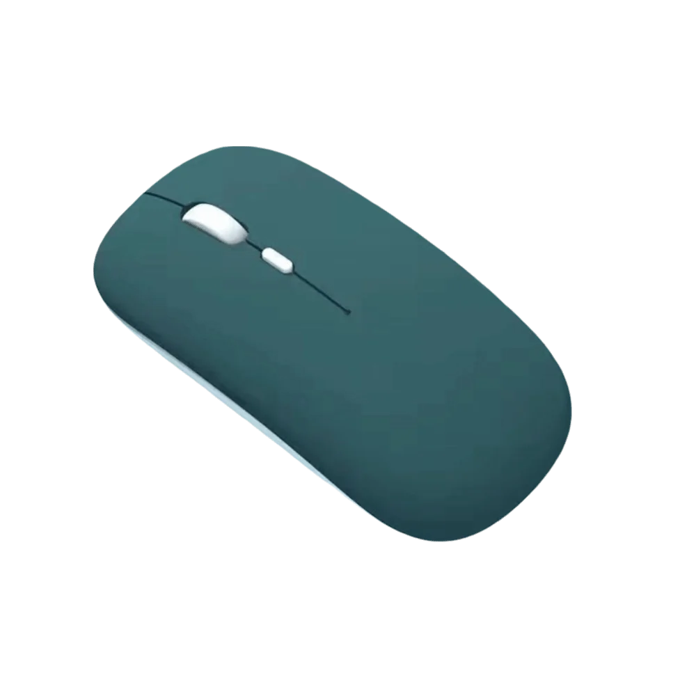 

Type-C Charging Silent Design Wireless Mouse Mute Function Portable Size Computer Mouse Ergonomic Mouse Tablet Use