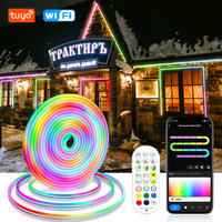 Smart Life WiFi RGBIC Dreamcolor Neon Light 12V Waterproof Led Strip Tuya 3M 5M 96LEDs/m RGB Running Neon Tape Work With Alexa