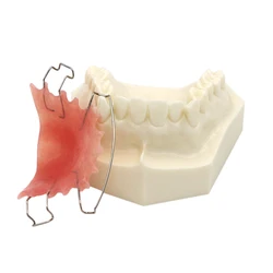 Stomatologiczne Model zębów ortodontyczne Hawley Retainer modele stomatologiczne M3007 do badań laboratoryjnych dla dentysty