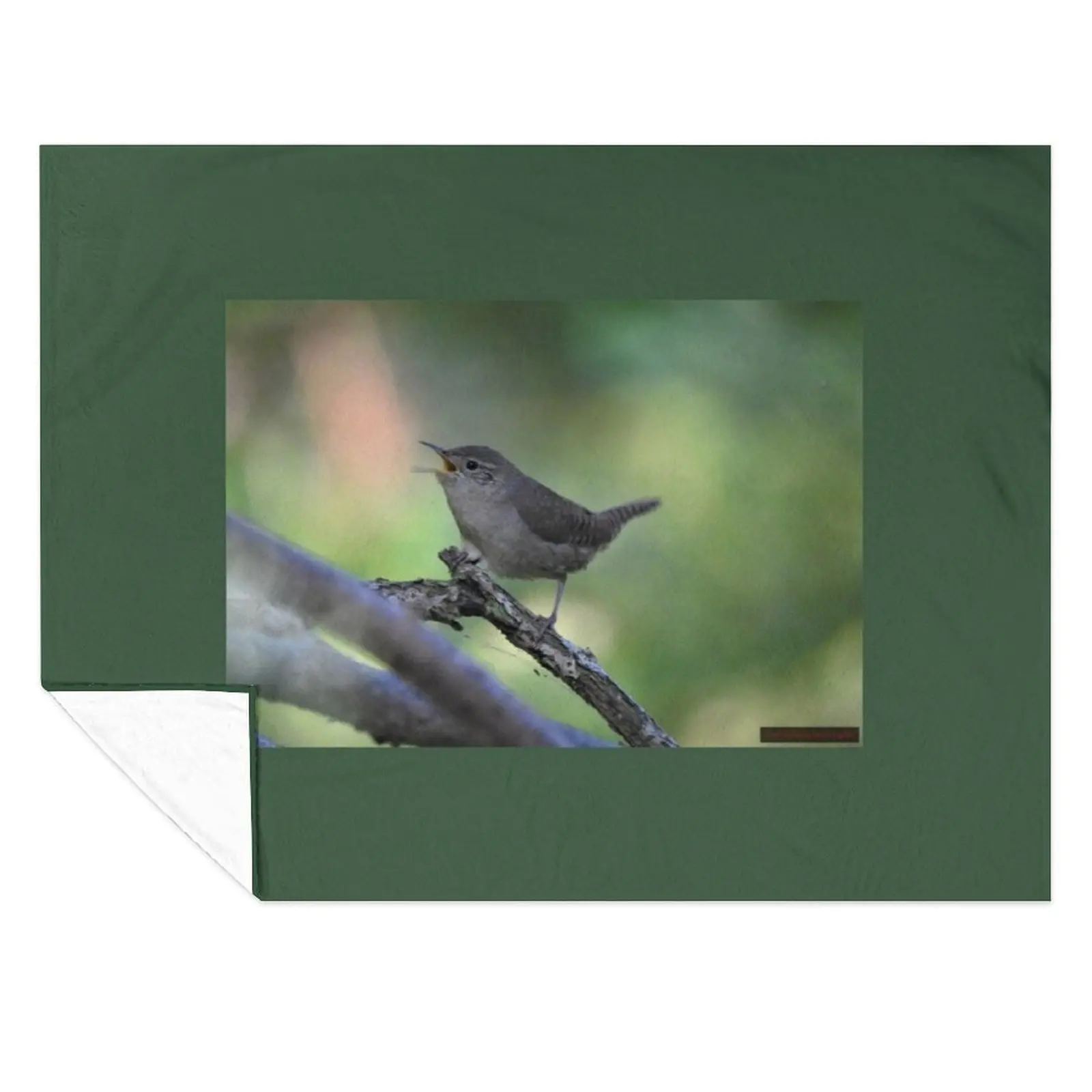 

House Wren Throw Blanket Soft valentine gift ideas Moving anime Blankets