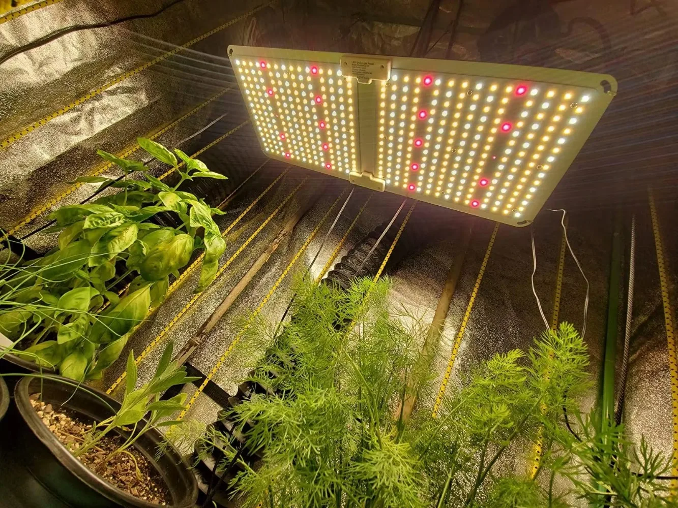 Full Spectrum Horticultural Lighting LED Grow Light 100W 220W 450W 600W IP65 5 Years Warranty CE RoHS Listed