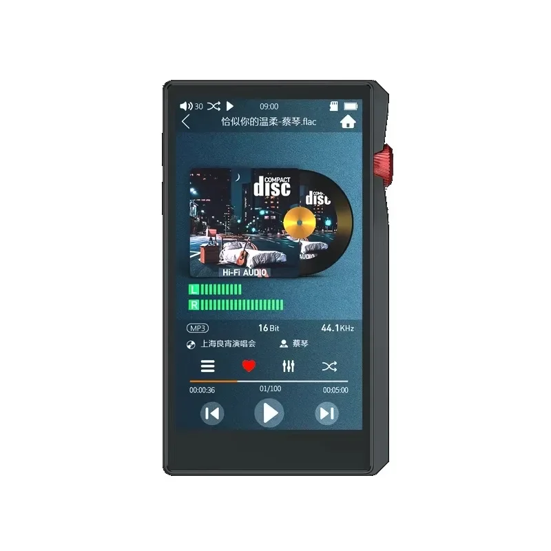 Master-level Lossless DSD256 24BITHIFI Player 4.5-inch Large Screen Dual Bluetooth OTGU Disk Walkman