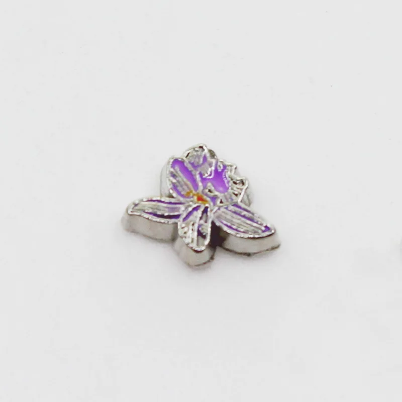 

Hot Selling 20pcs Purple Flower Red Strawberry Floating Charms DIY Glass Memory Lockets Bracelet Jewelry Accessories