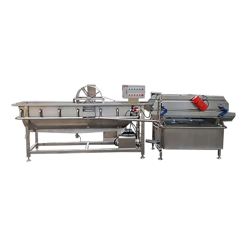 Laveuse de fruits et légumes à vortex, type fraise et orange, automatique 220V PLC, pour cuisine industrielle, haute efficacité, personnalisable