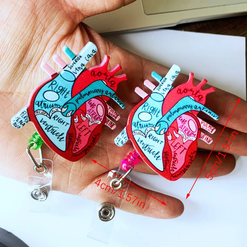 2024 diagramma del cuore anatomico bobina di Badge retrattile fai da te Clip a coccodrillo girevole a 360 gradi spilla per illustrazione del cuore umano