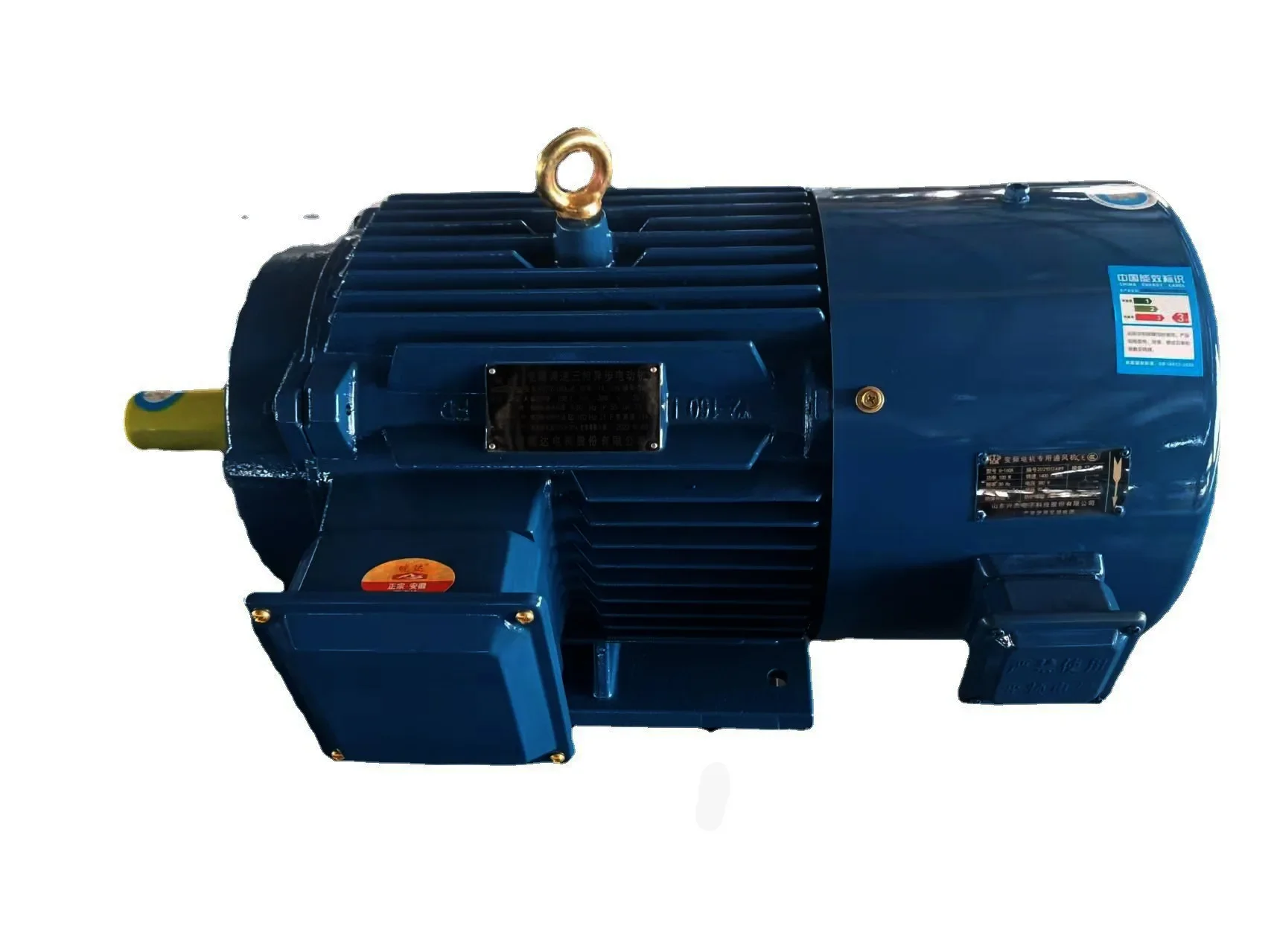 All copper frequency conversion speed regulation 380V three-phase asynchronous motor  132KW vertical lying national standard