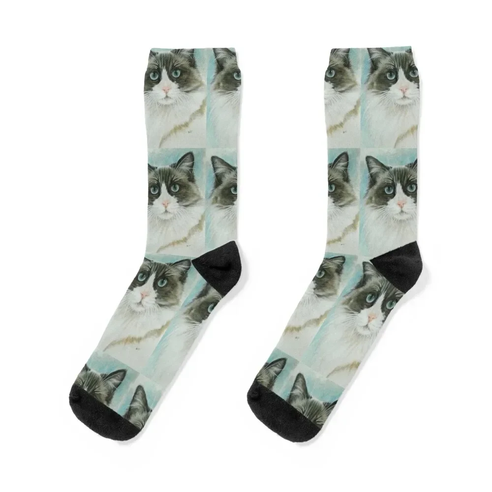 

Ragdoll Portrait in Color Socks winter thermal tennis loose floral Boy Socks Women's