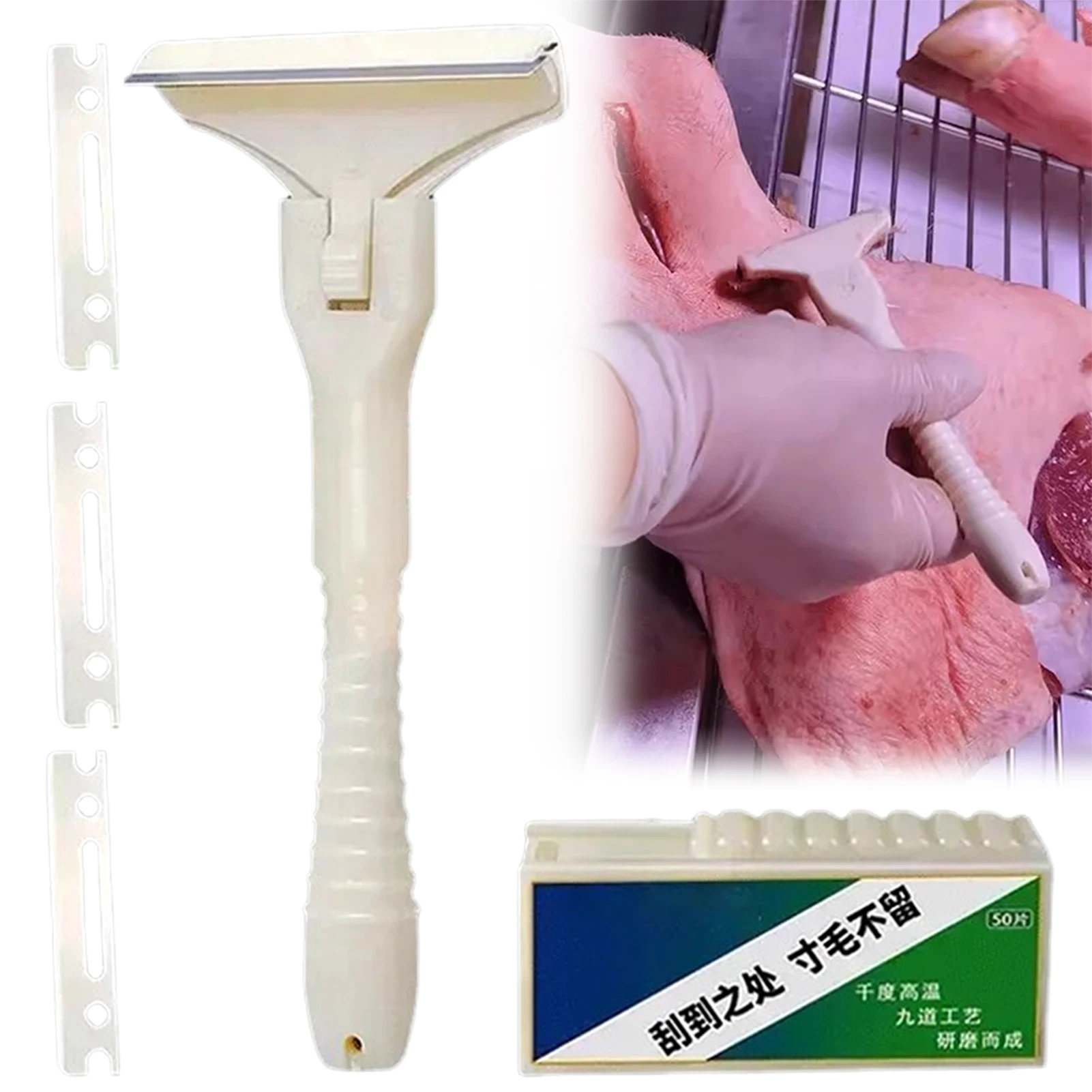 Stainless Steel Hair Scraper Easy To Clean And Sanitize After Use. Commercial Butchery Use