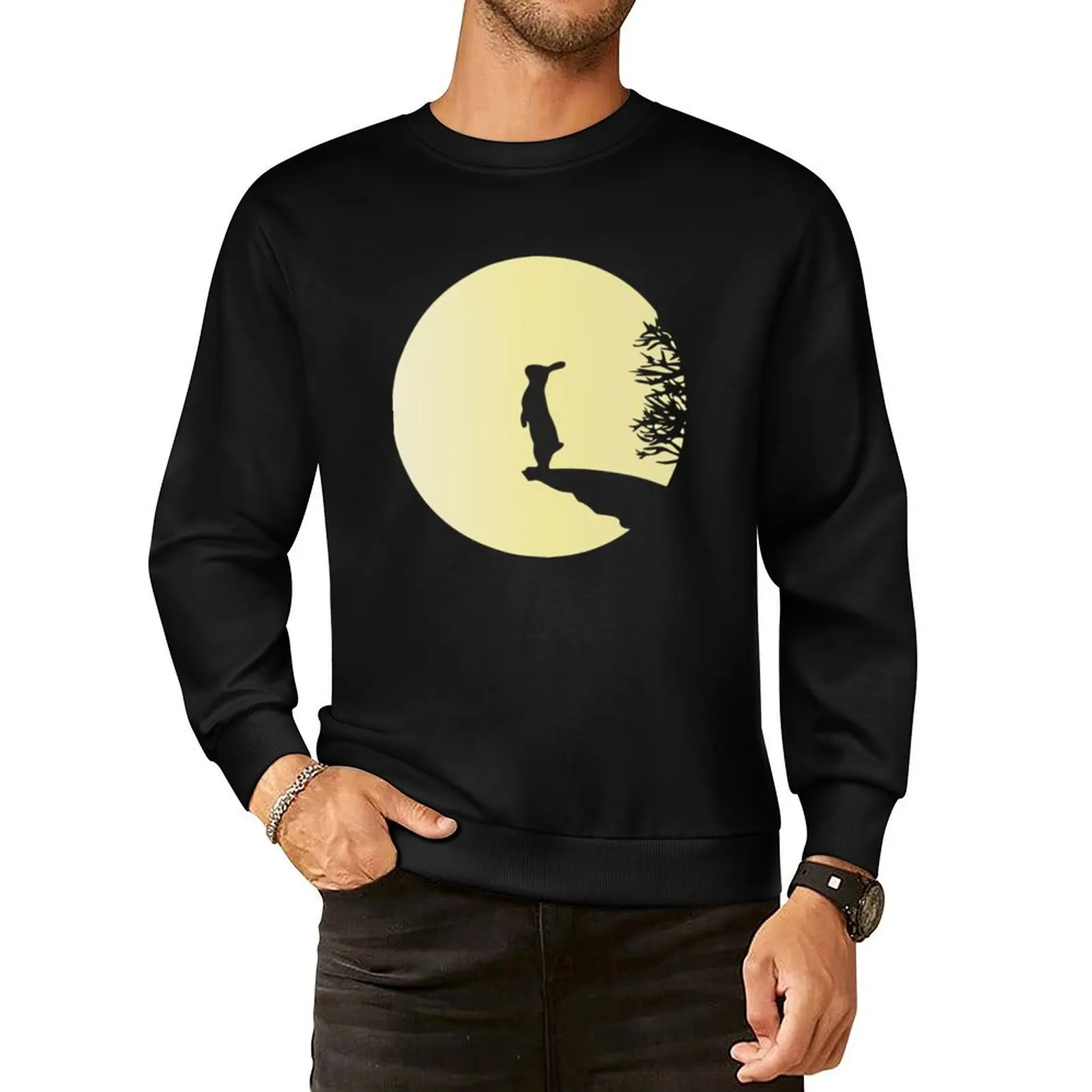 

rabit rabit Pullover Hoodie blouse men's sweat-shirt set mens clothing new sweatshirts
