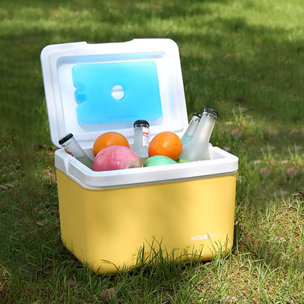 6L Insulated Ice Chest Portable Ice Bucket Outdoor Hard Cooler for Camping Picnic Beach Drink Beverage Fishing