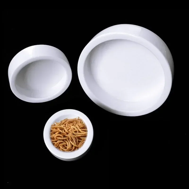 Thumbnail 2 - #33 Best Reptile Water Bowls to Buy In 2026