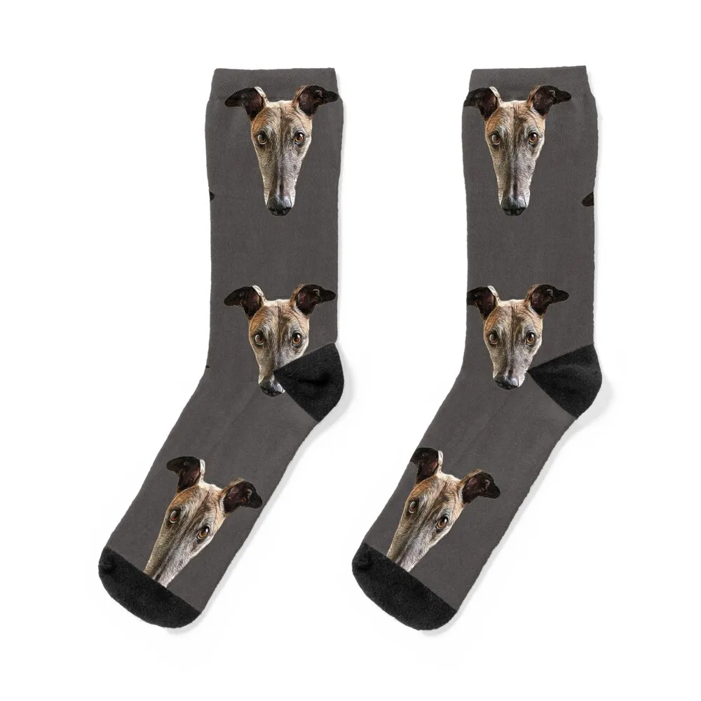 Greyhound Socks Men's floral Stockings man Sports Socks For Man Women's