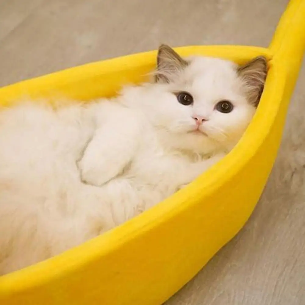 Banana Shape Pet Dog Cats Nest Soft Winter Puppy Kitten Warm House Bed Pet Sleeping Basket Dog Cushion Cat Accessories Gatos