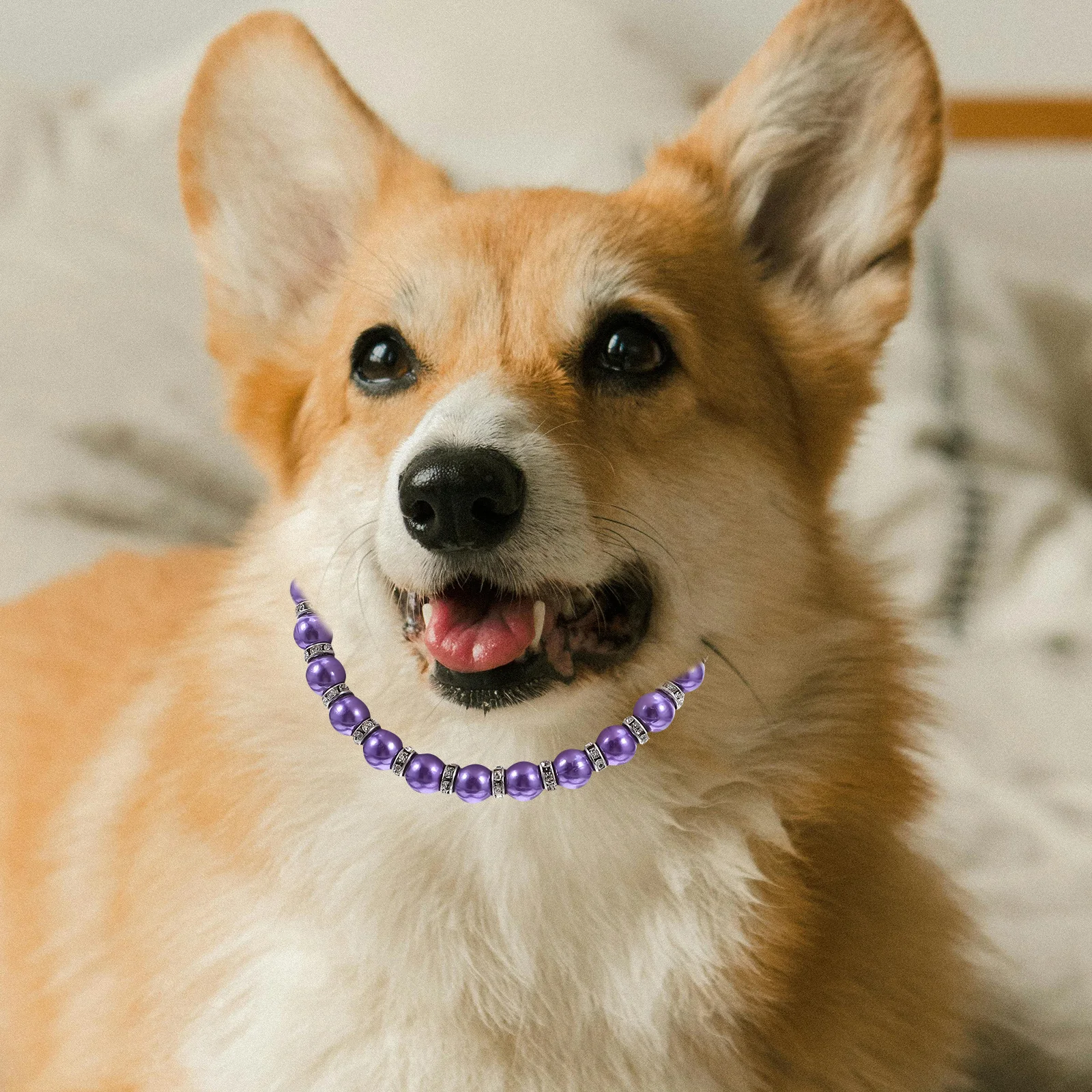 

Dog Cat Necklace Collar Imitation Pearls Bling Accessories Ribbon Bow Pet Jewelry Easy Maintenance Versatile Use Purple
