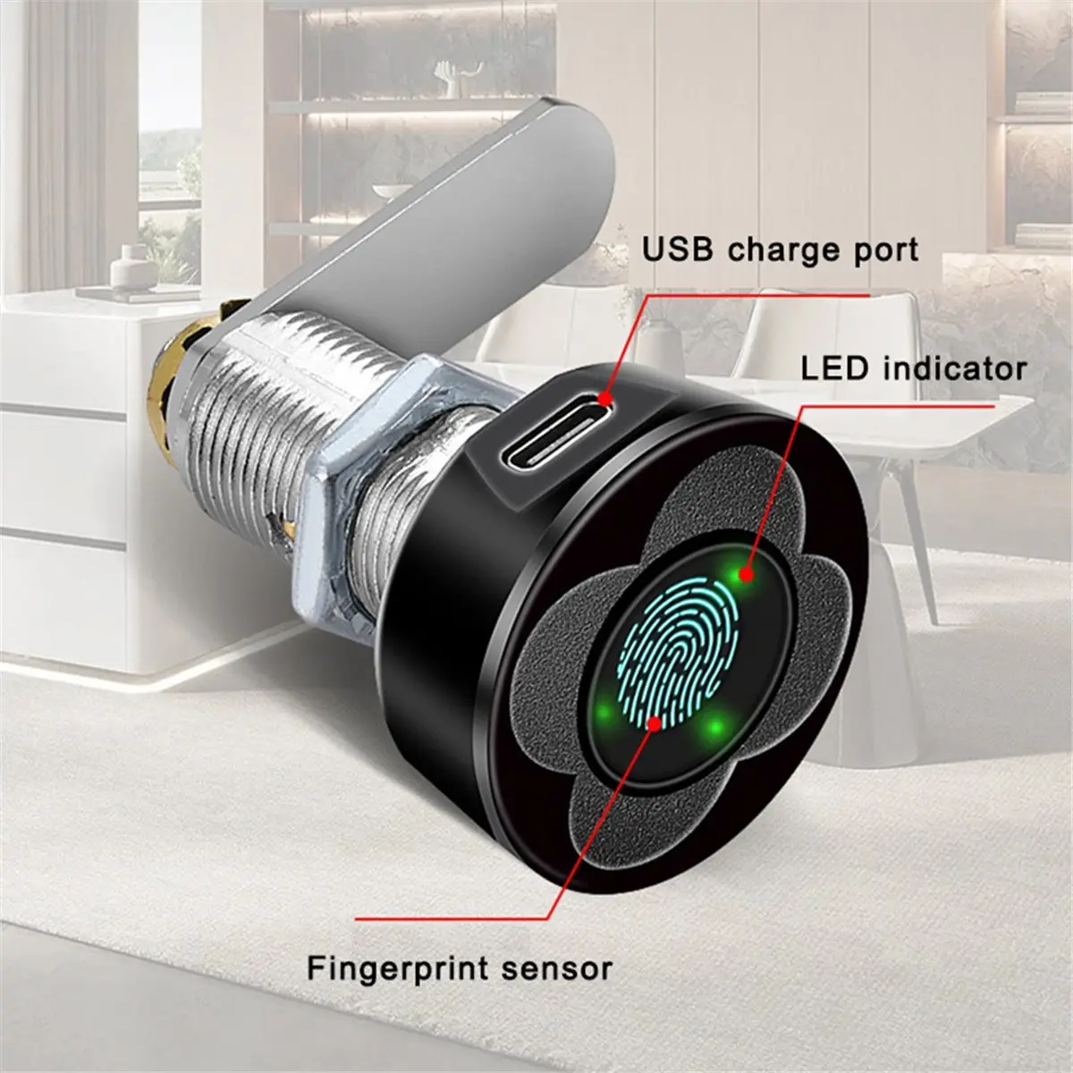 Big Discount Fingerprint Cabinet Lock for Indoor Use, Secure Mailbox & Drawer Black