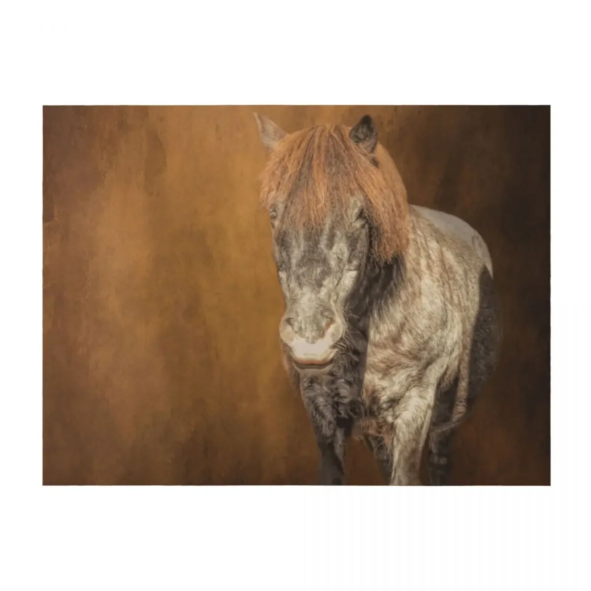 

Shetland Pony Throw Blanket Hairys for winter christmas gifts Heavy Blankets
