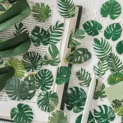 40PCS Green Leaf Maple Leaves Leaf Stickers Plant PET Scrapbook Stickers Nature Diary Stickers Album Journal Turtle Leaf Sticker