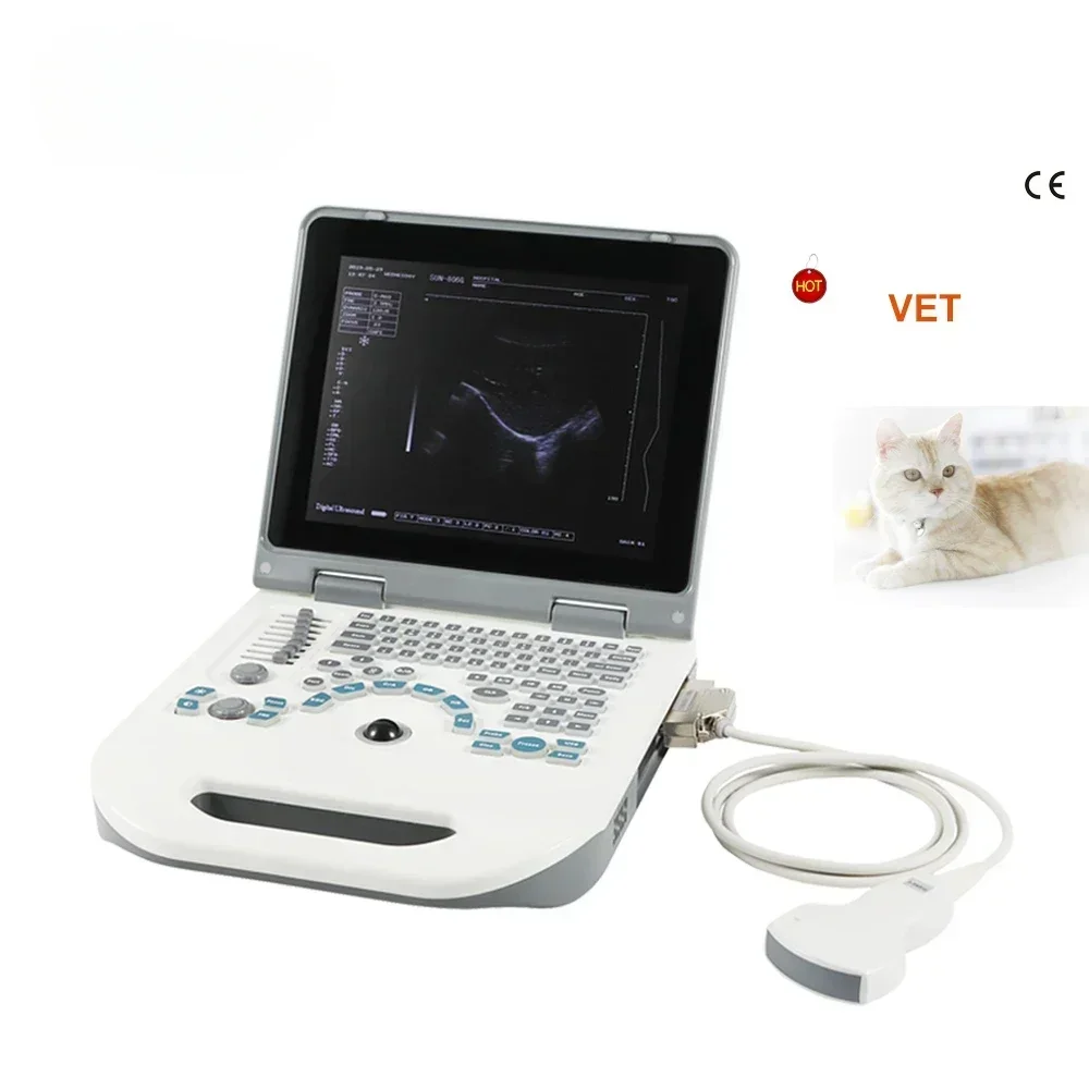 

Digital B mode diagnostic instruments SUN-806G Veterinary ultrasound vet Portable