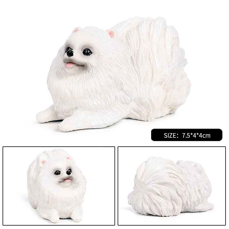 Genuine Kawaii Pet Dogs Model Cute Pomeranian Dog Animal Action Figure Solid PVC Dog Home Decoration Figurines Kids Toy