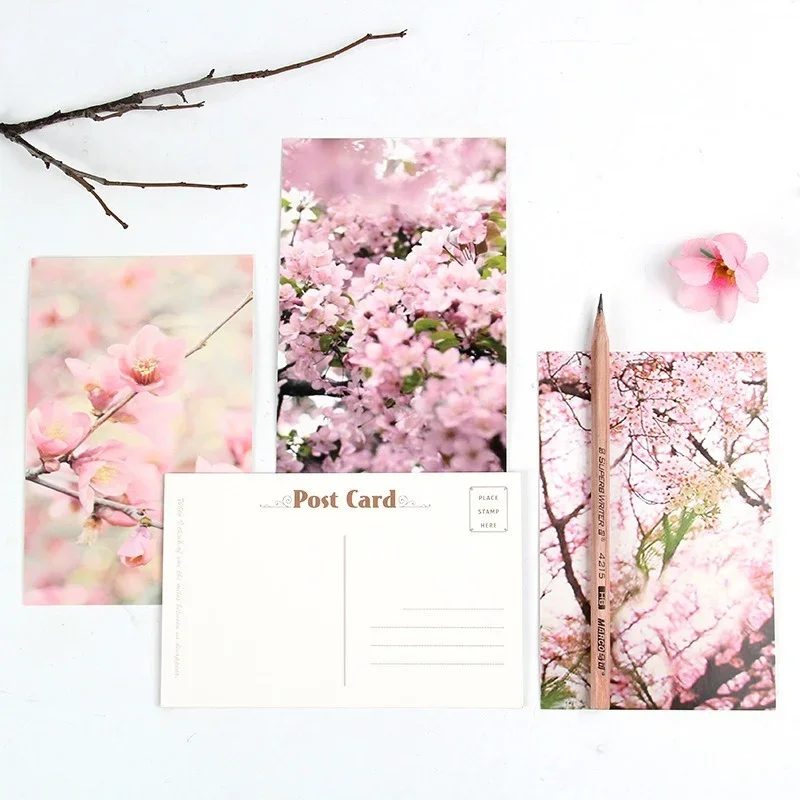 Boxed Postcards A Variety of Blessing Cards Greeting Cards Creative Small Fresh Art Cardstock Paper  Letter Paper 30 sheets