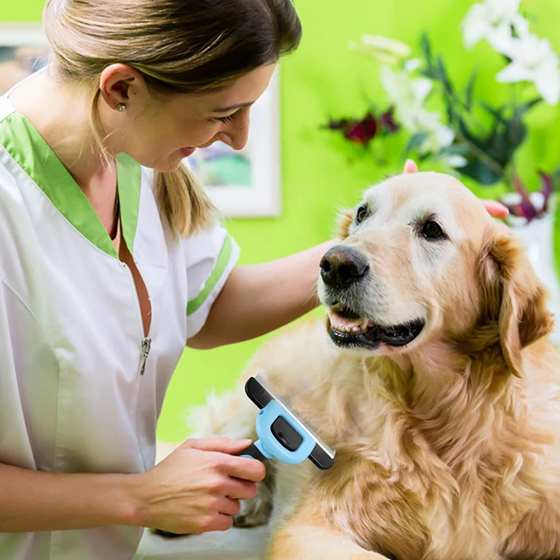 Brosse à épiler pour animaux de compagnie, peigne à poils courts à moyens, fournitures de toilettage et de soins pour chiens et chats, outil de démêlage