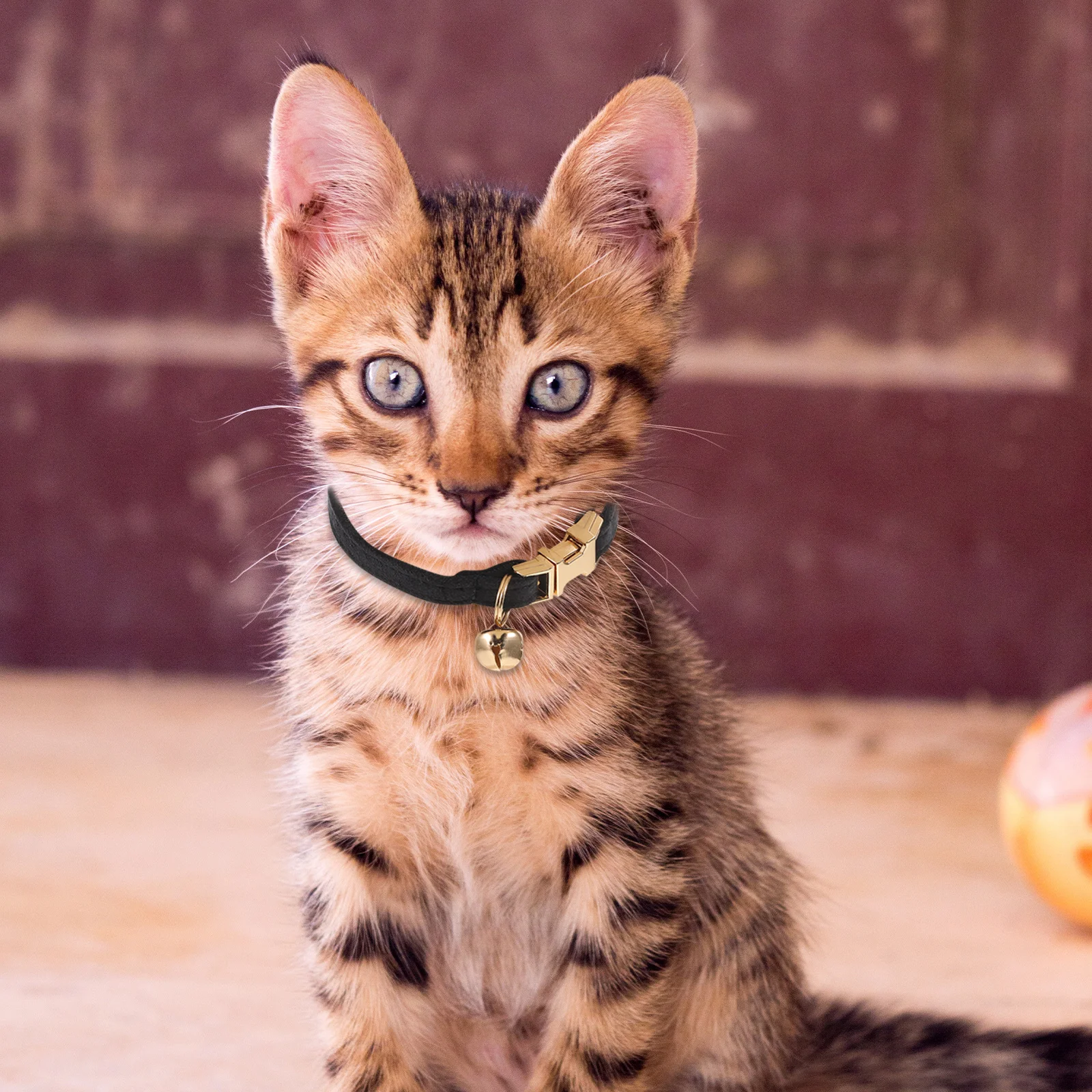 

1pcs Cat Collar Black Soft Adjustable Pet Necklace Gold Buckle Kitten Collar With Bell For Small Cats Puppies Wedding Party