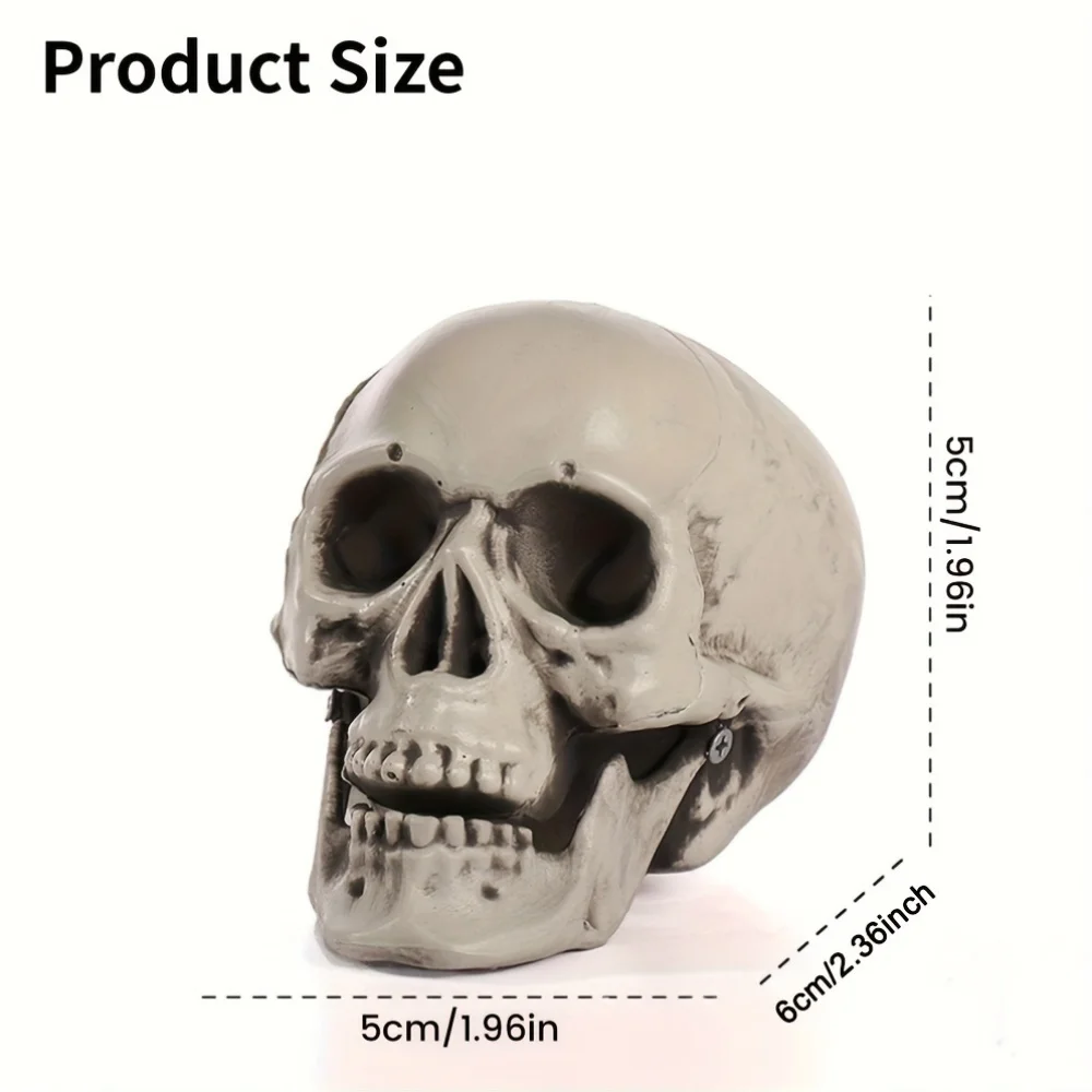 10 قطع من رؤوس جمجمة بلاستيكية واقعية صغيرة: عظام مخططة، متينة مرحة. لا حاجة للكهرباء لجميع القديسين/الجزء المخيف/الموضوع #5