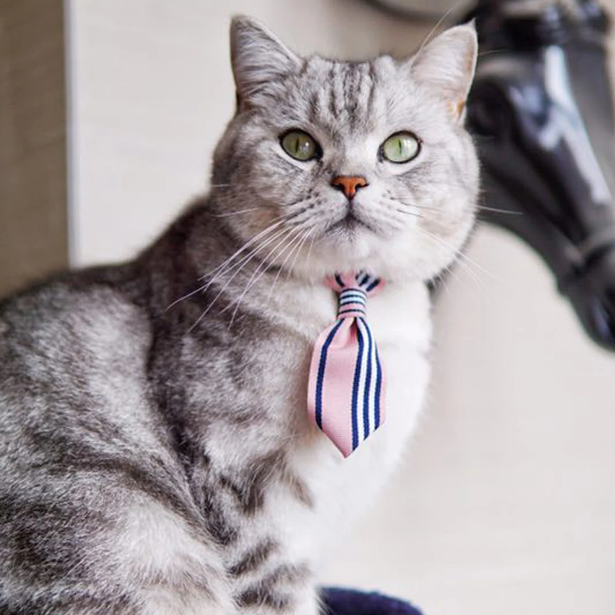 

Dog Tie Traditional Double Necktie Pet Bow Dog/cat Collar Decoration Knot Adjustable