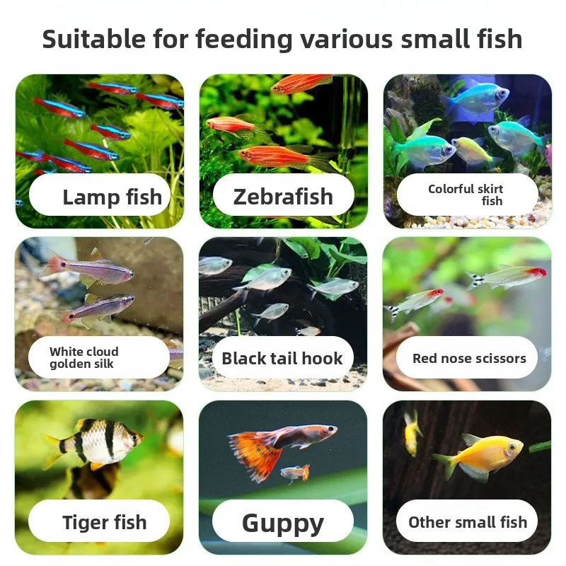 DEERA Medaka Ricefish Food, Micro Pellets for All Varieties Including Fancy Guppy and Other Small Ornamental Fish view 3