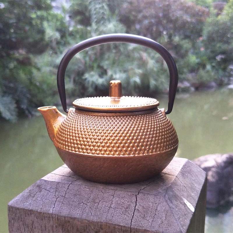900ml Cast Iron Teapot Kitchen Teaware Japanese Tea Kettle For Boiling Water Retro Old-fashioned Kung Fu Tea Set Home Furnishing