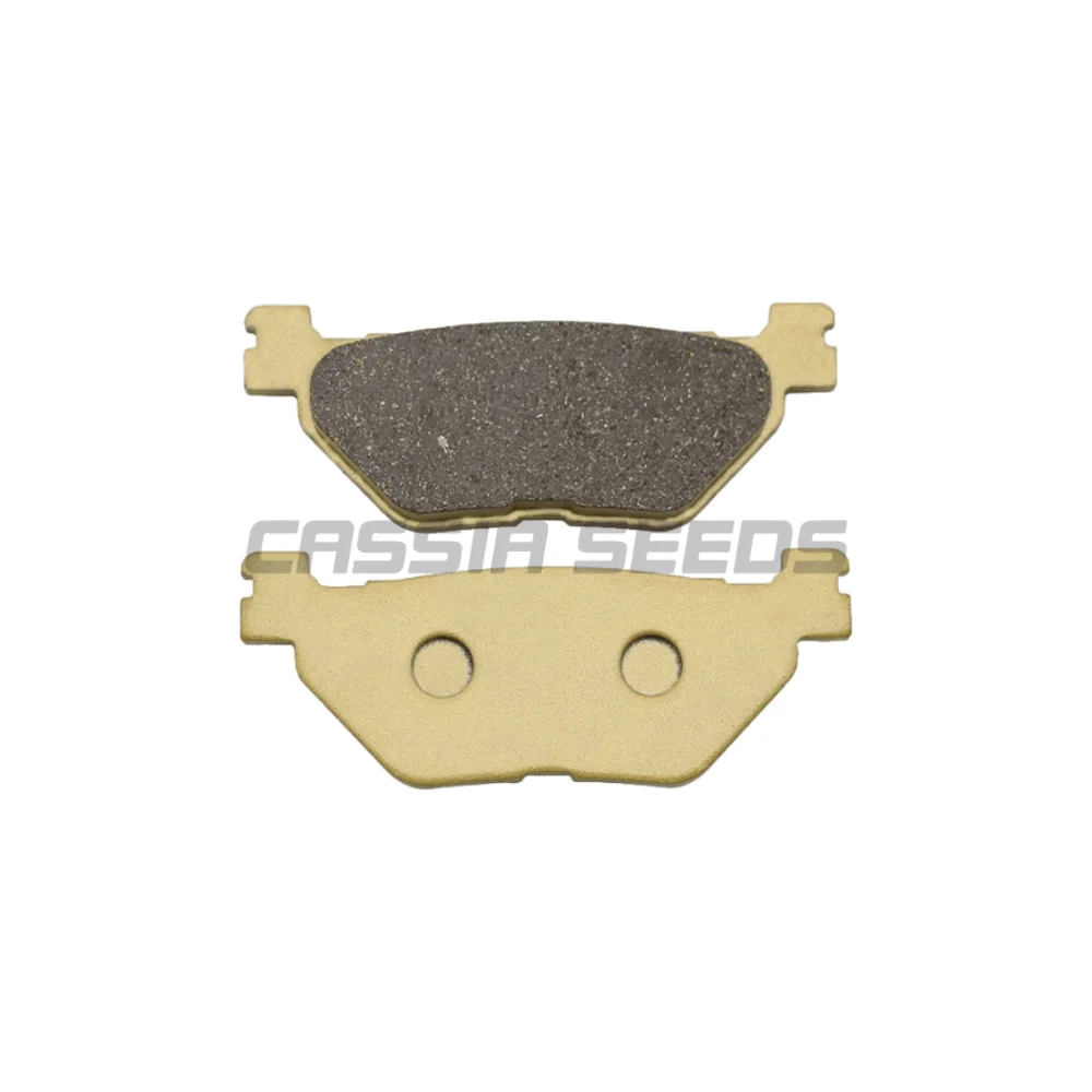 Motorcycle front and rear brake pads disc brake pads for Yamaha TDM 900 FJR 1300 A (ABS) (5VS-) XV1700 PCR XV 1900 A