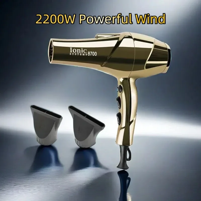 Professional Hair Dryer Negative Ions Blowdryer for Salon High Speeds Strong Winds 2200W Powerful Wind 6 Gears Low Noise Blower