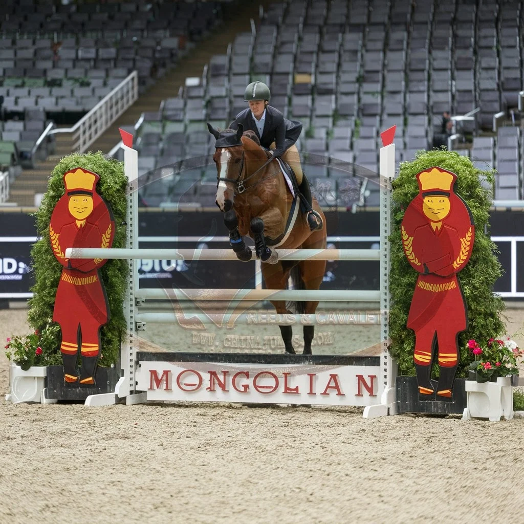 Horse Show Jumping Wing Aluminum Obstacles Stands Side Standings