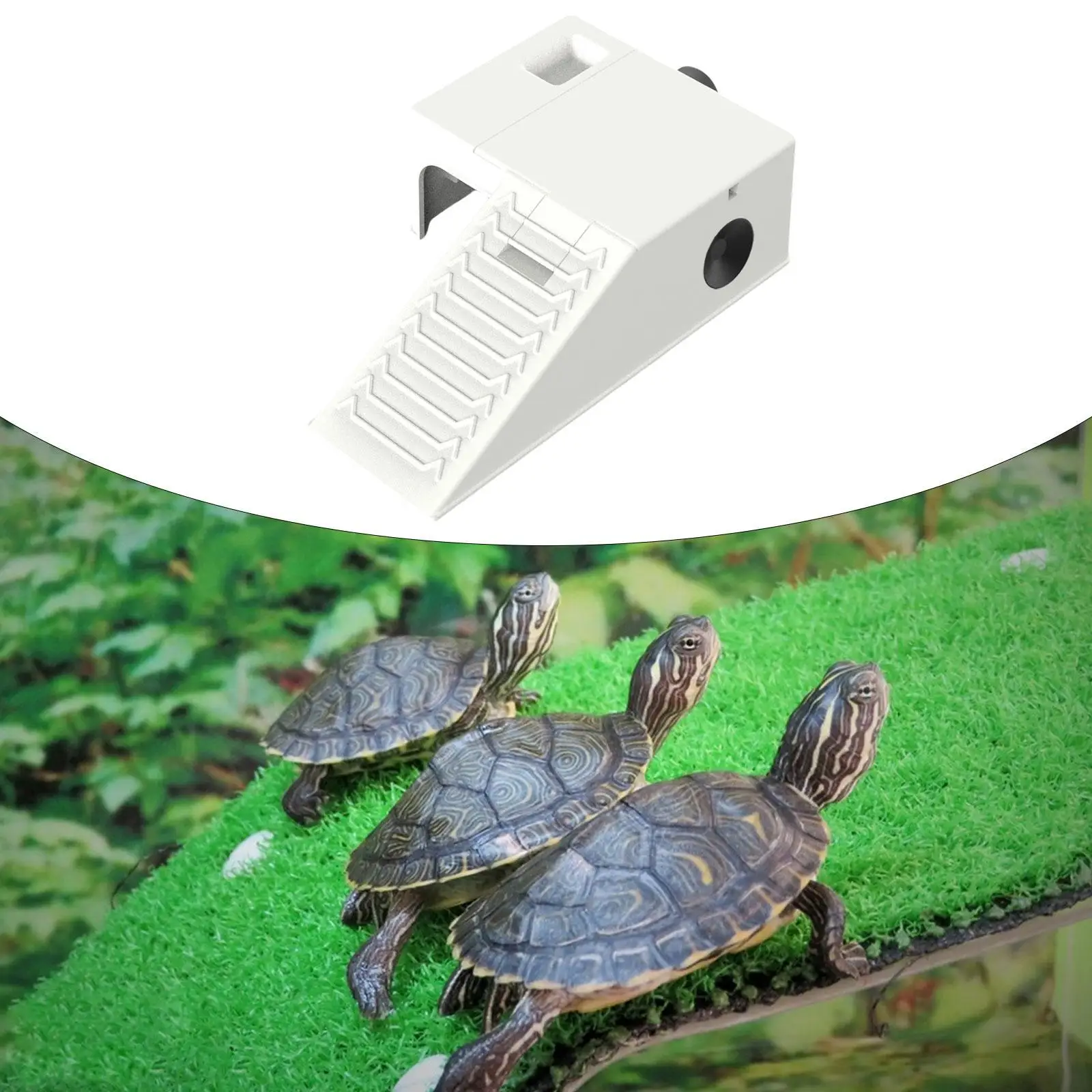 Diletakkan kura-kura Platform berjemur Habitat reptil untuk Salamanders Terrapin