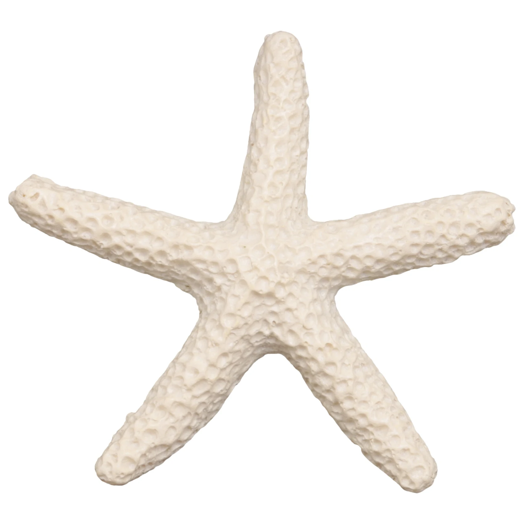 Durable 15 Pieces creamy-white Pencil Finger Starfish For Wedding Decor, Home Decor And Craft Project