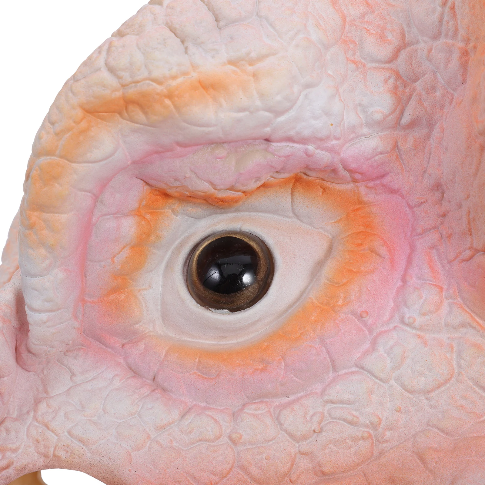 

Funny Head Halloween Costume Animal Party Accessory dress Up Cosplay Carnival Masquerade Costume Accessories Lizard Shape