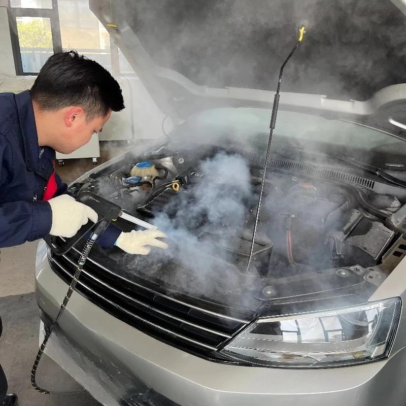 Steam Car Wash Machine High Pressure Cleaner Car Interior Cleaning Steam Car Washing Machine