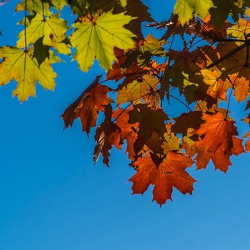 

Передняя и задняя дифференциальная ось для осевого SCX10 II 90046 1/10 RC Гусеничный автомобиль, обновленные детали, аксессуары