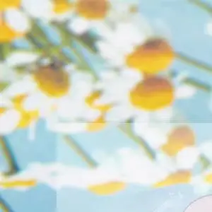 ปลอกหุ้มป้องกันสำหรับที่ตัดหนังเล็บ 10 ชิ้น สำหรับทำเล็บมือและเล็บเท้า ใช้กับที่ตัดหนังและแหนบกำจัดหนังกำพร้า